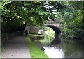 The Rochdale Canal in Friendly #2