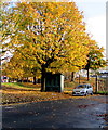 Riverside Place electricity substation under a tree, Barry