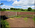 Two field gates, Llanfair Kilgeddin, Monmouthshire