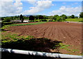 Mostly brown field, Llanfair Kilgeddin, Monmouthshire