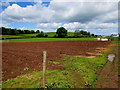 Brown field and green fields,  Llanfair Kilgeddin, Monmouthshire