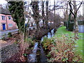 Side channel of Nailsworth Stream near Dunkirk Mills, Nailsworth