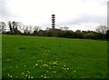 Purdown BT Tower