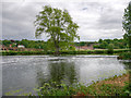 SK2523 : River Trent at Burton by David Dixon