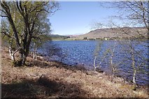 NN5357 : Loch Rannoch by Richard Webb