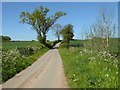SO5465 : No through road at Middleton on the Hill by Philip Halling