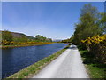 NN1581 : More of the Great Glen Way alongside the Caledonian Canal by Tim Heaton