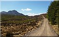 NH2221 : Track from Cougie to Loch nan Gillean by valenta