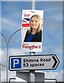 DUP (Democratic Unionist Party) Westminster Election Poster on Shimna Road