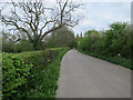 Cemetery Lane, Street