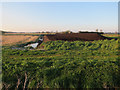 Peat digging near Avalon Farm