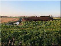 ST4638 : Peat digging near Avalon Farm by Hugh Venables