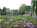 Gardens next to Chelmsford Road