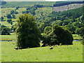 Farmland west of Carrog valley of the River Dee