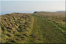 TA1182 : The Cleveland Way, North Cliff by N Chadwick