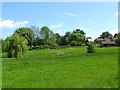 Tanyard Field, Henfield