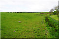 Grazing land near Broomley