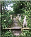 Footbridge across the footpath