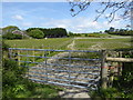 Paddocks near Llanbadarn Fawr