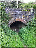 SU7314 : Foot creep under railway line by Hugh Craddock