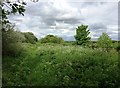 Footpath and Access Path to Thorne Moors