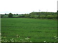 Crop field near Lopham