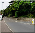 Station Road narrows ahead, Sidmouth