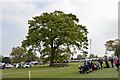 ST8083 : Badminton Horse Trials 2017: cross-country fence 27 - hedge by Jonathan Hutchins