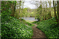 Path leading down to the River Tyne