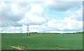 Crop field, Littlebury