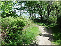 The Pembrokeshire Coast Path near Trevayne