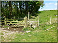 Stile on path to Whitewell