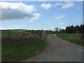 Track to Muirhouse Farm