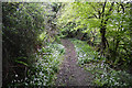 West Somerset : Footpath