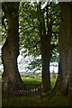 West Somerset : Bench