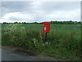 Elizabeth II postbox on Chapel Road