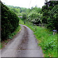 Farm access road, Hollybush