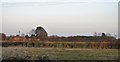 Farmland south of Beverley