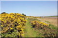 The Anglesey Coastal Path at Malltraeth