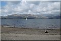 NS4192 : Loch Lomond, Milarrochy Bay by Richard Webb