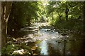 River Erme leaving Ivybridge