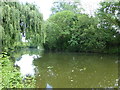 The lake in Parklands Open Space