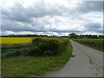 NH8879 : Road to Cadboll Mount farm by James Allan