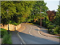 The Road south of Cave Castle