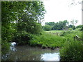 The western end of Cranham Marsh Nature Reserve