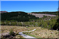 Great Glen Way near Invermoriston