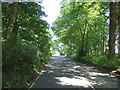 Minor road towards Culross