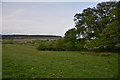 SS9940 : West Somerset : Grassy Field by Lewis Clarke