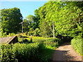 Pinford Lane in springtime