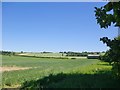 Arable land near Lower Barn